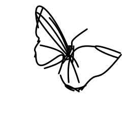 butterfly_3