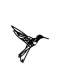 hummingbird0