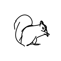 squirrel3