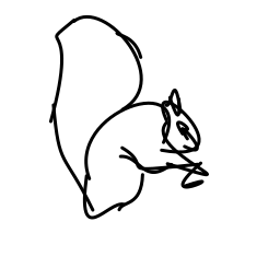 squirrel_2