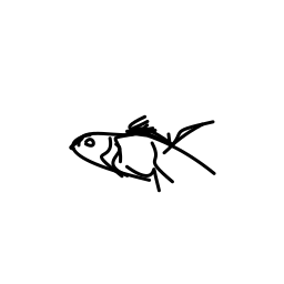 no_local_fish