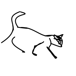 cat3