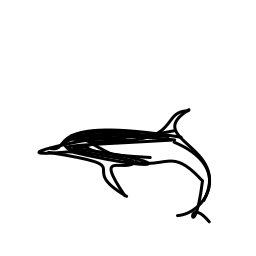 dolphin_2