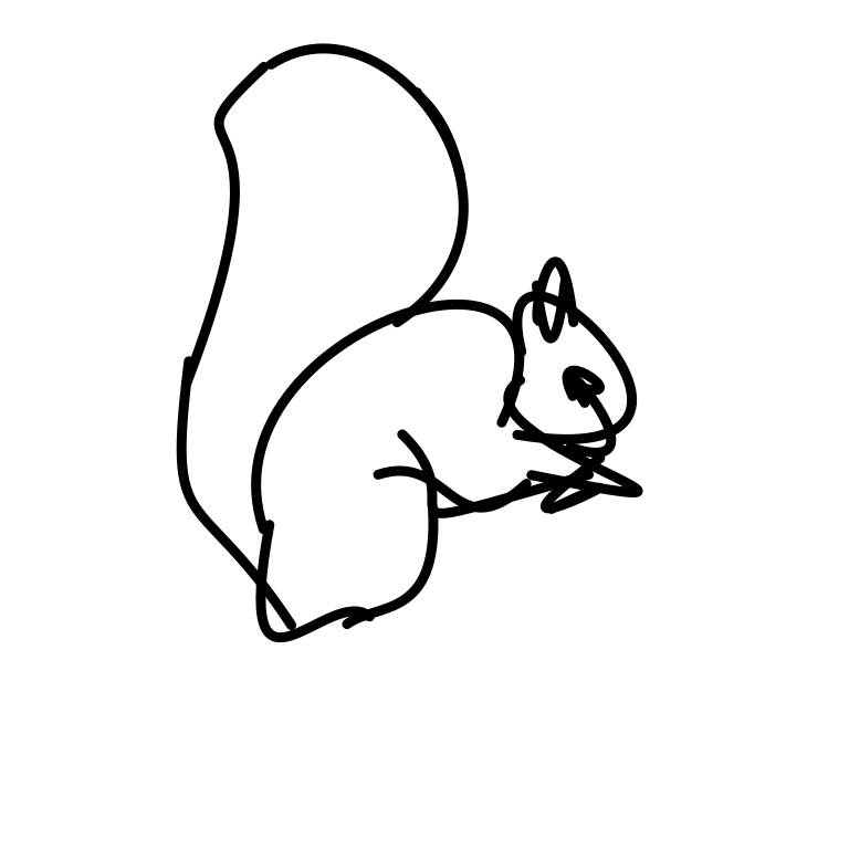squirrel_2